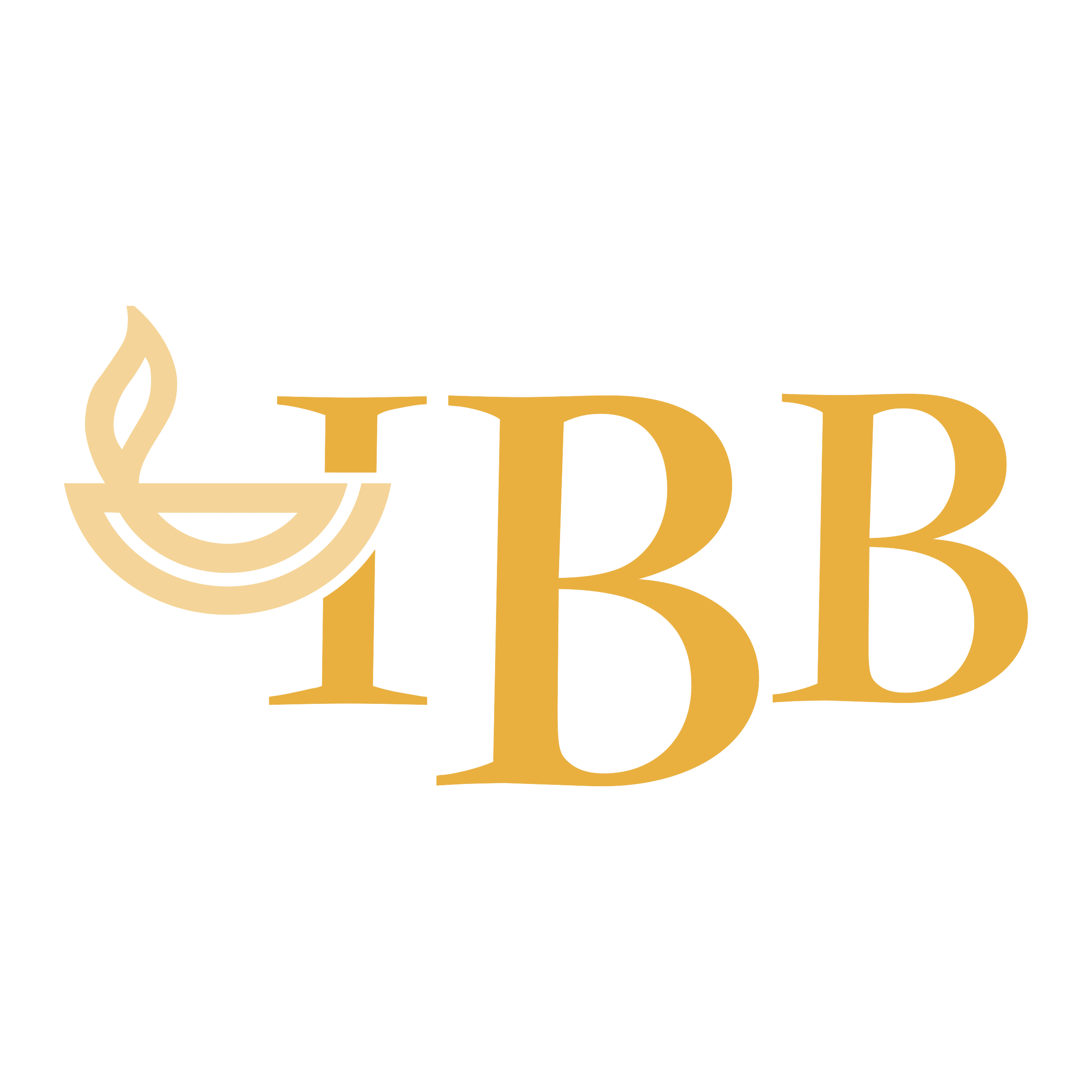 IBB logo IBB logo