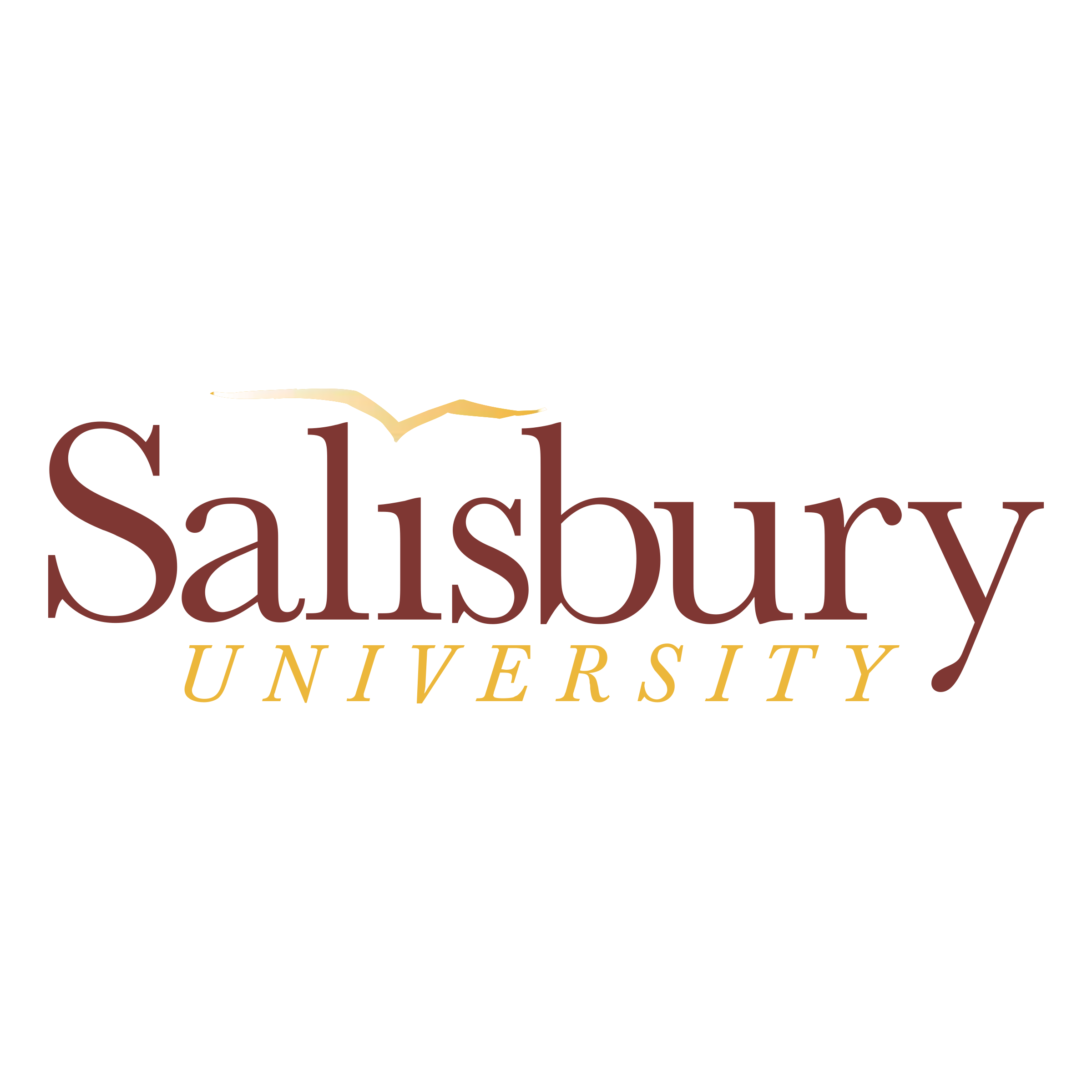 Salisbury logo