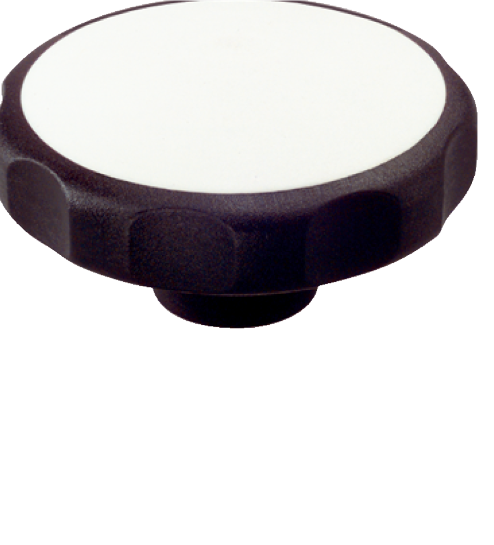 Order No. 24750.0101