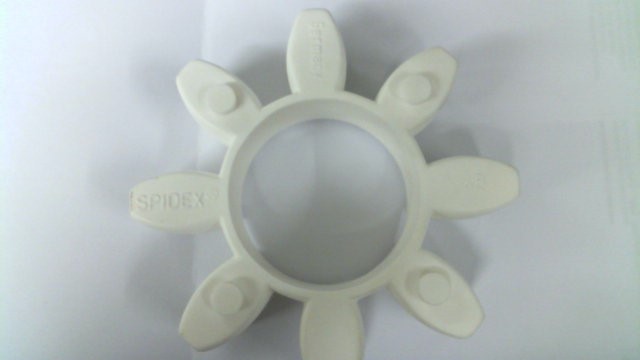 SP480262 preview 2