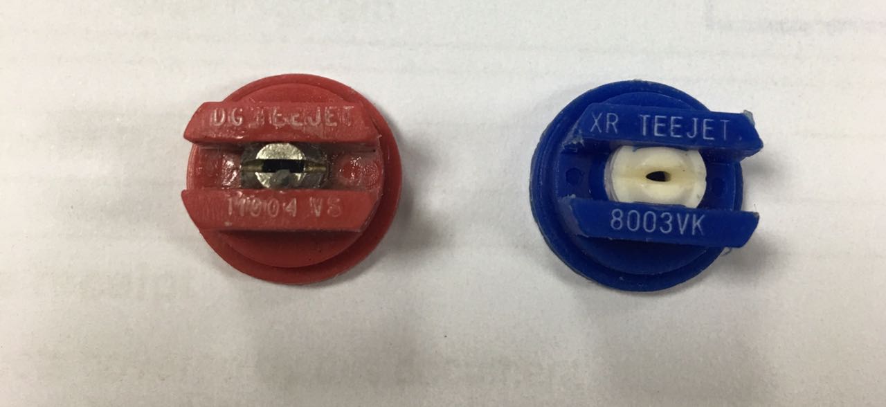 DG11003-VS preview 4