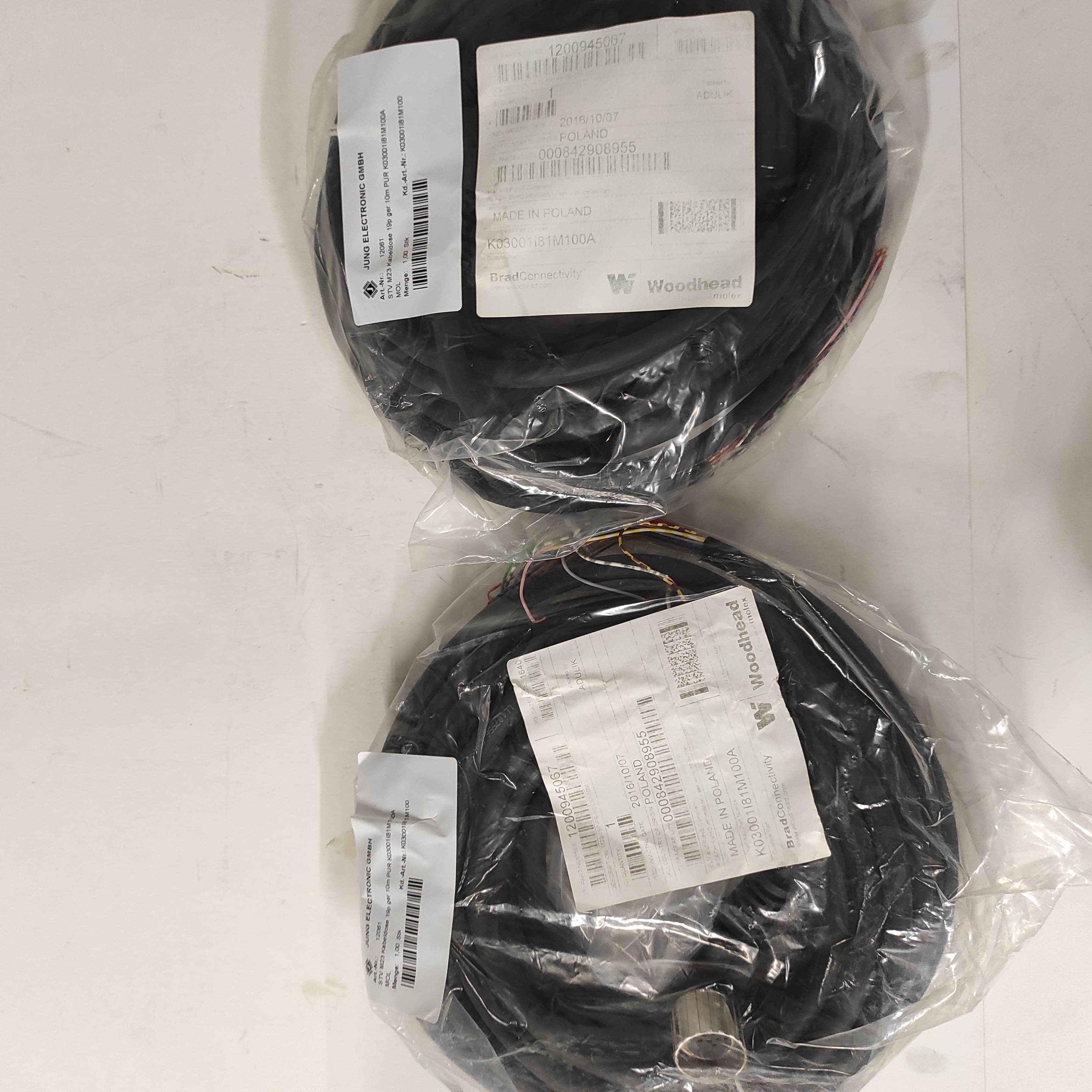 00999 ----K03001I81M100 --