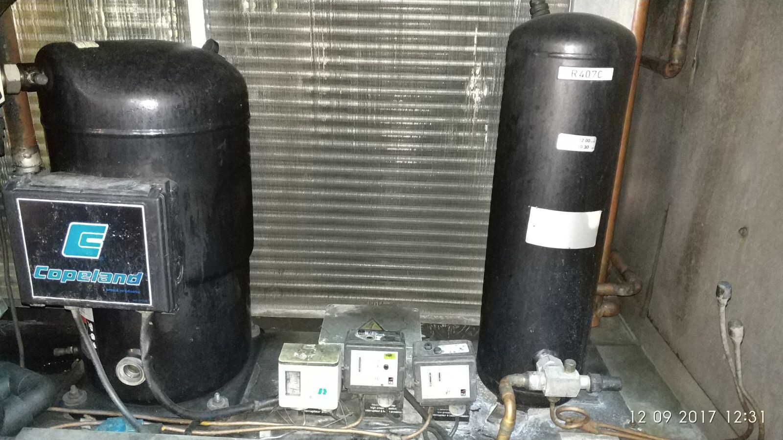 gamma d 200 L preview 3