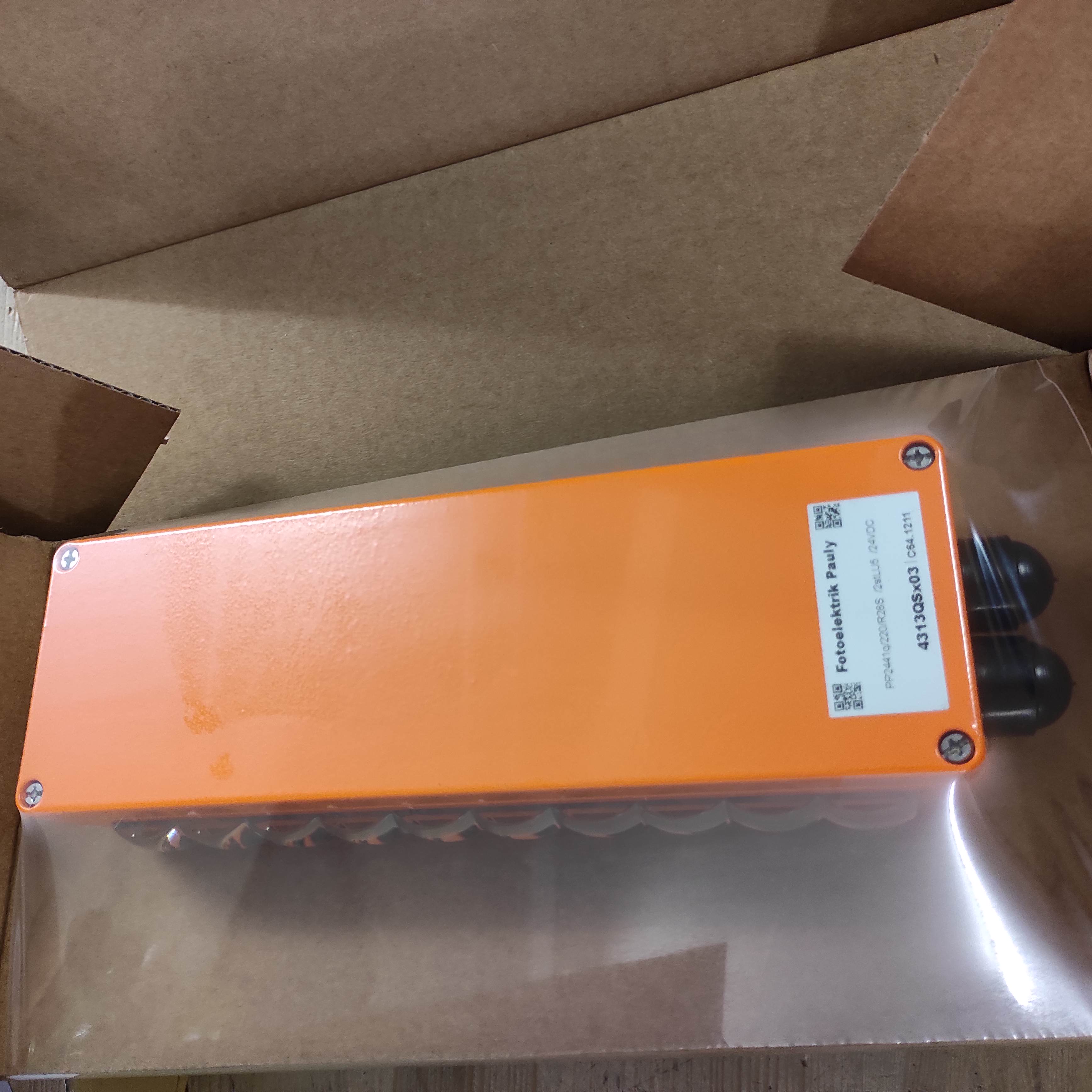 PP2441q/220/R28S/2stLU5/24VDC / 4313QSX03