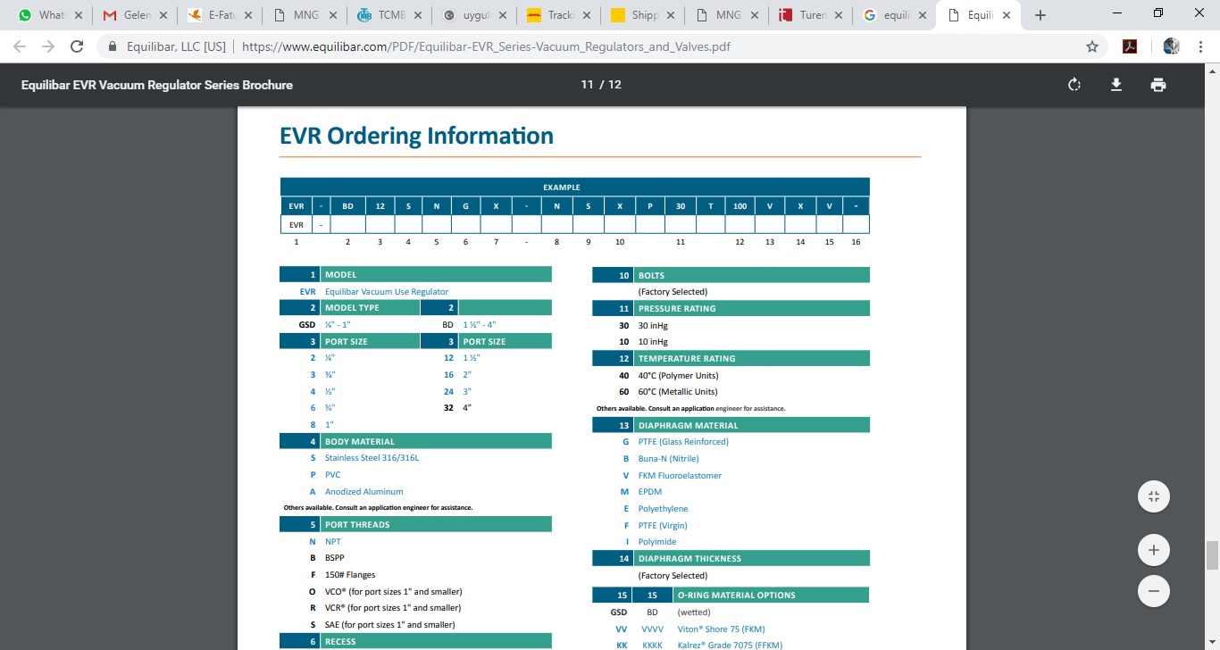 EVR- GSD6SNGX-NSX30T60FXVV