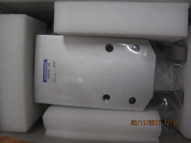 NHBDSL-25 