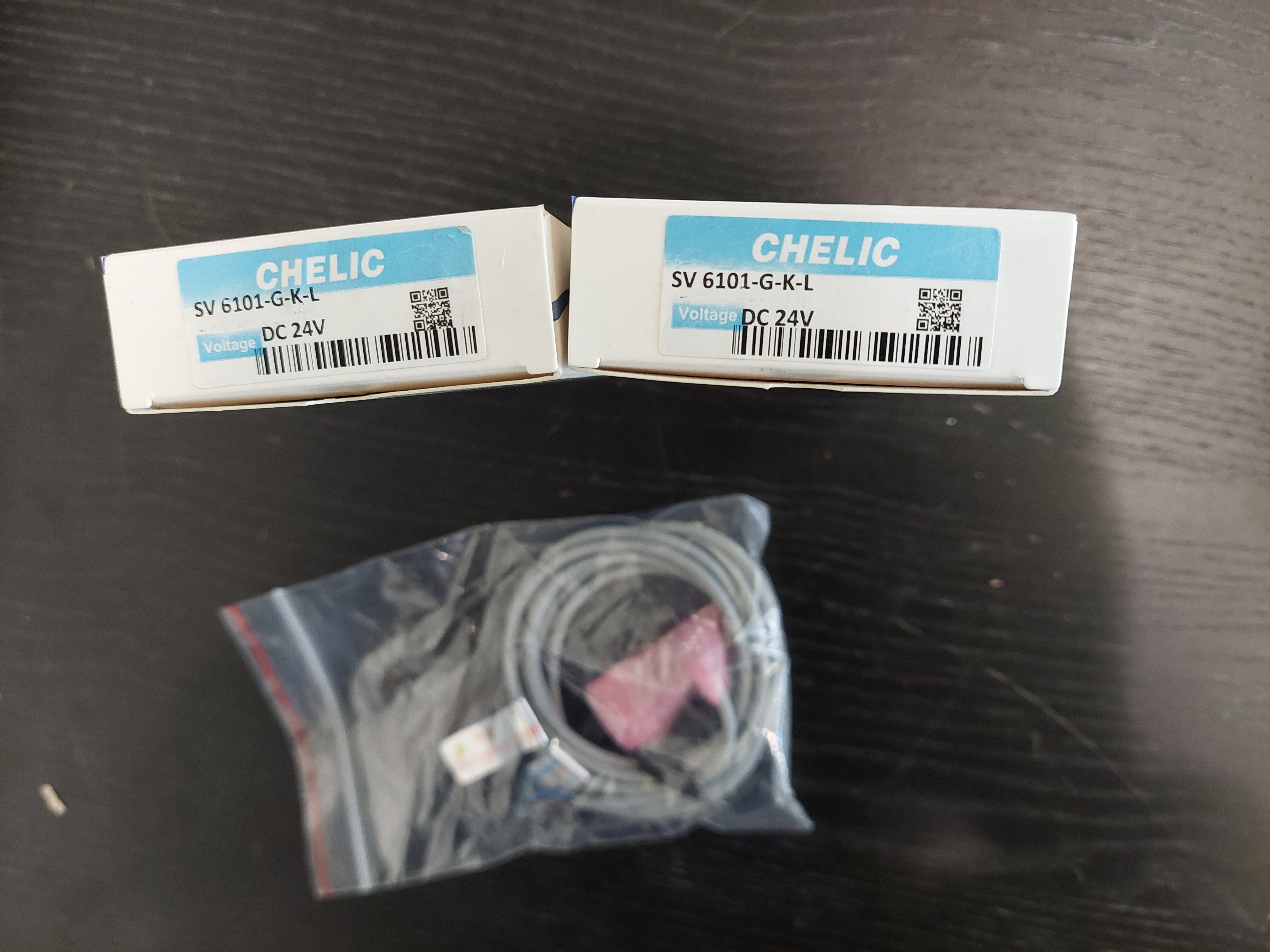 SV6101-G-24Vdc-L