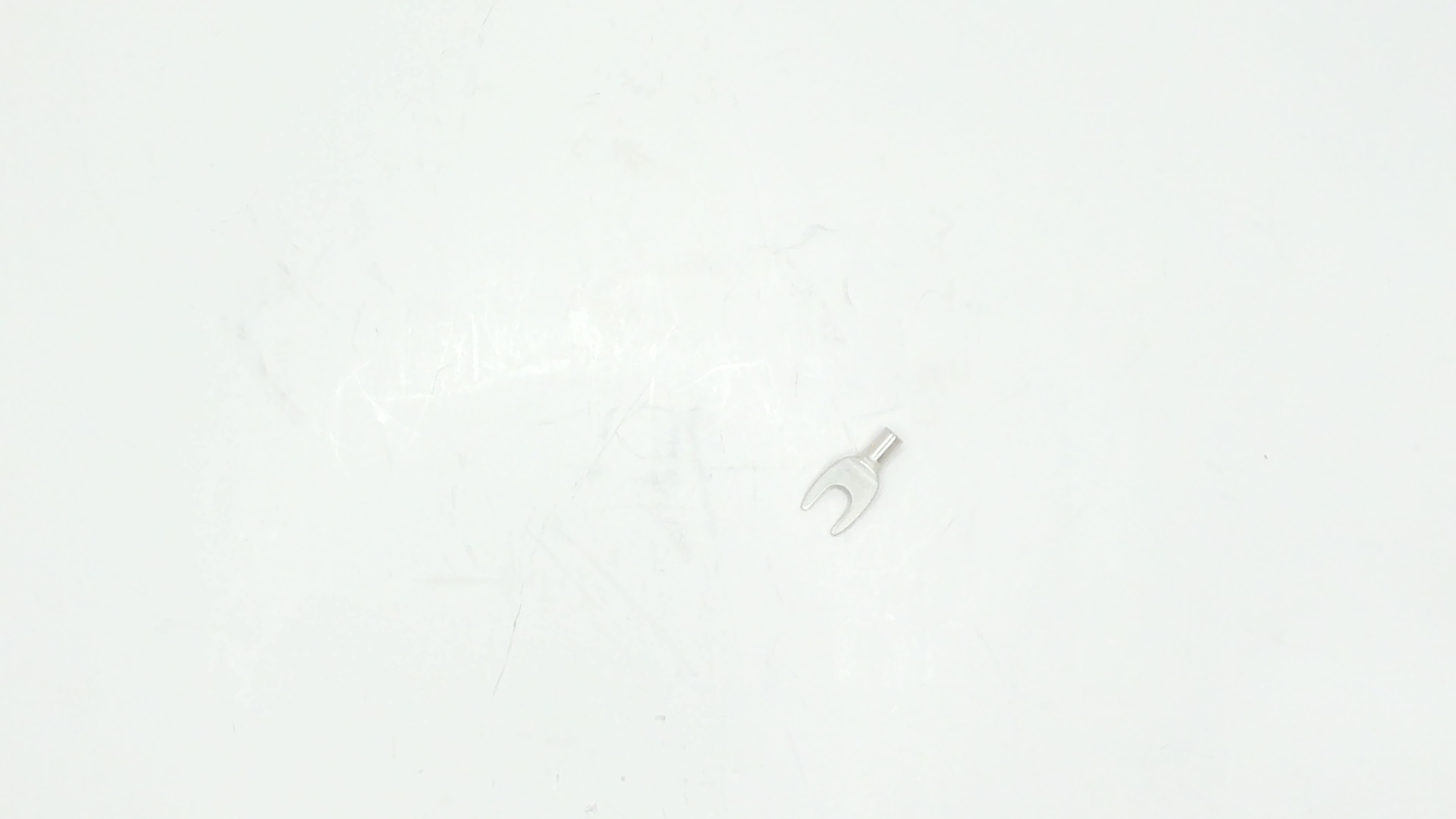 13061