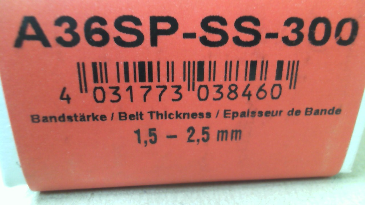 A36SP-SS-300