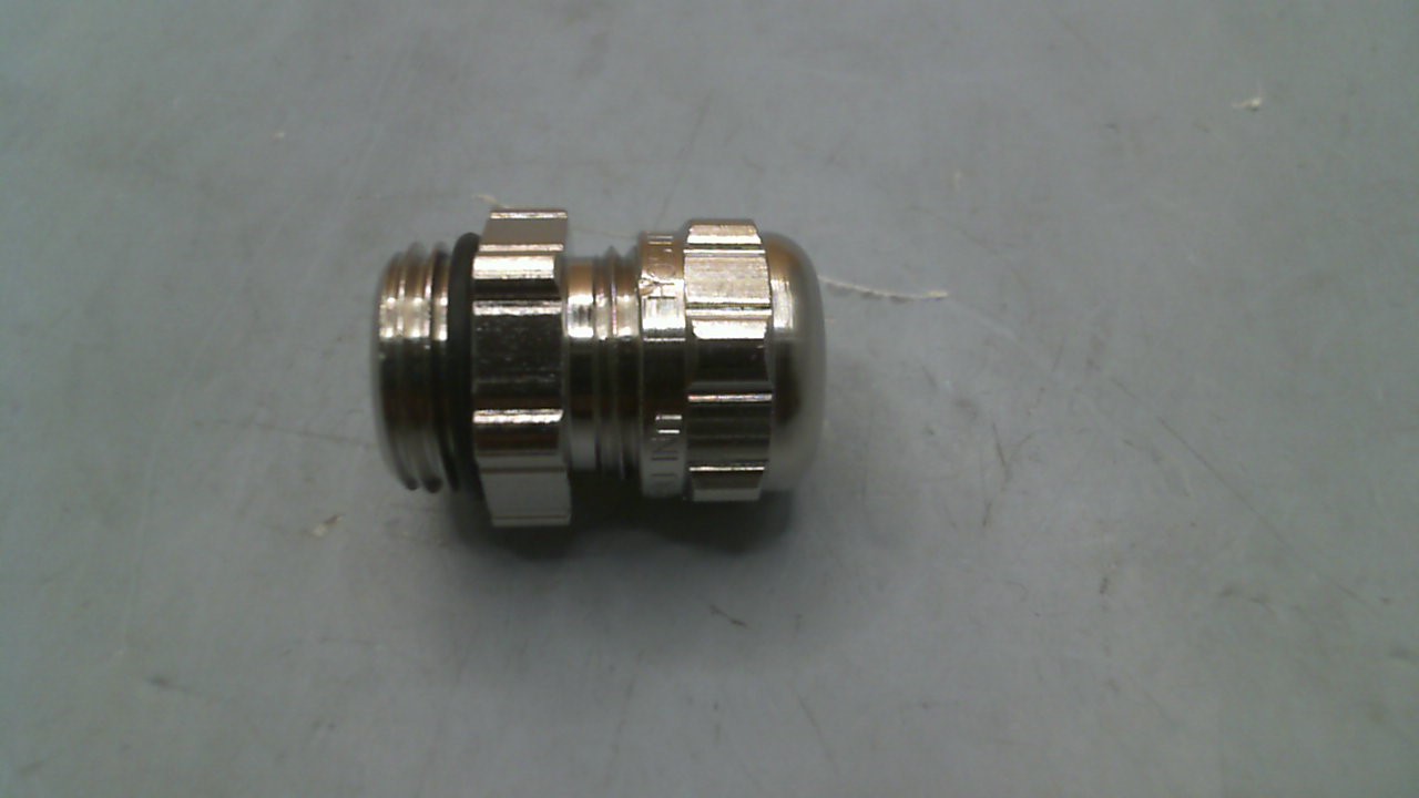 2165007S00 preview 3