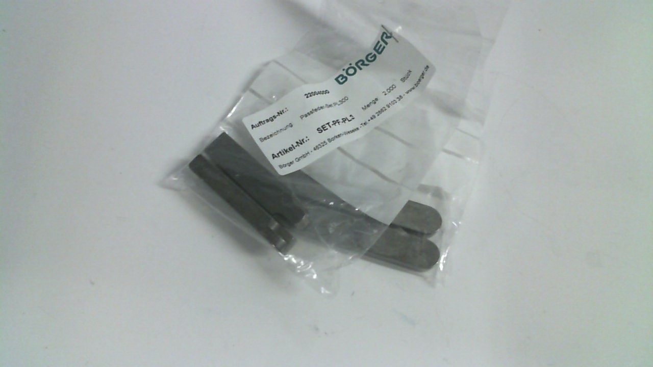 SET-PF-PL300