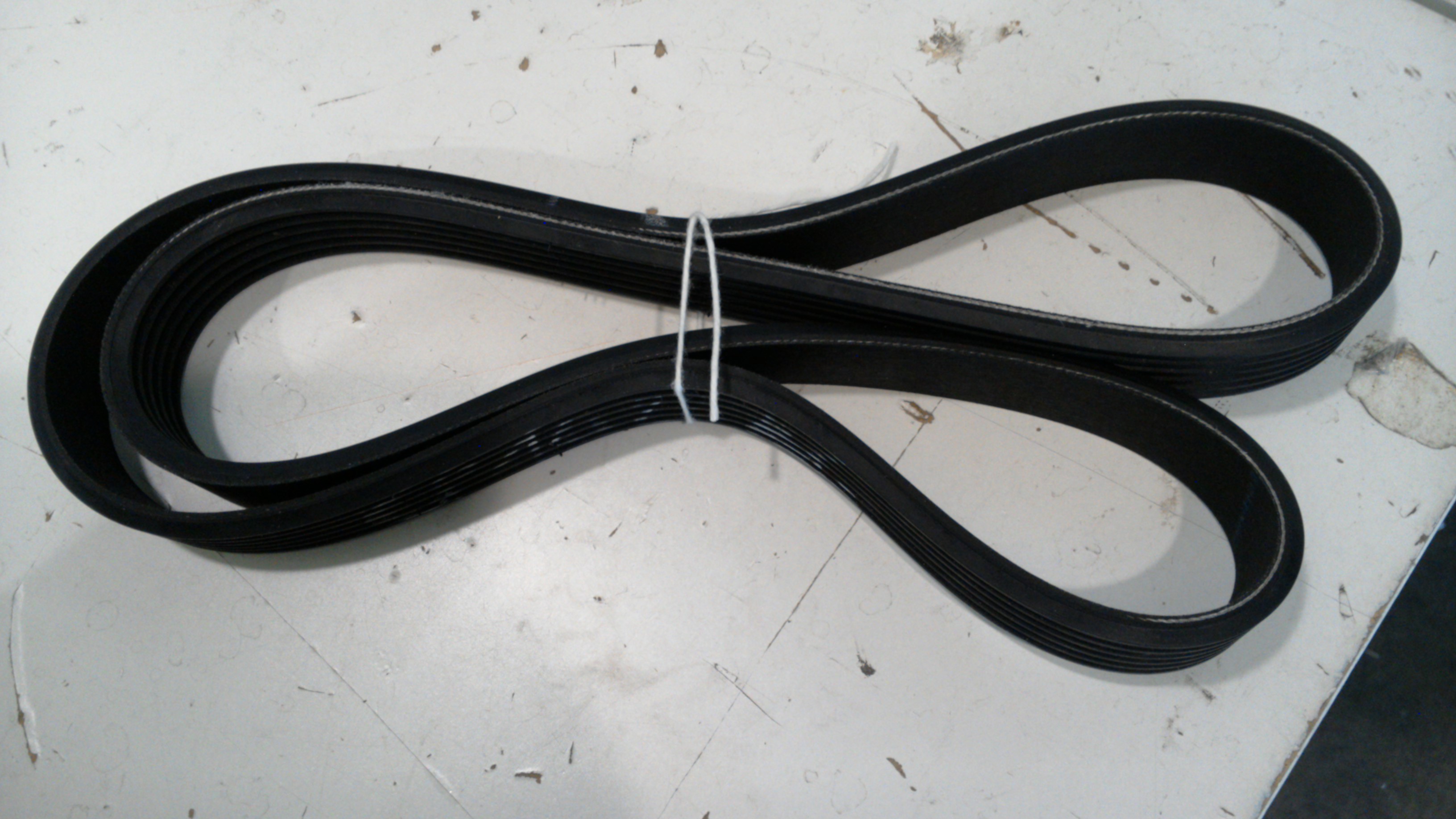 belt