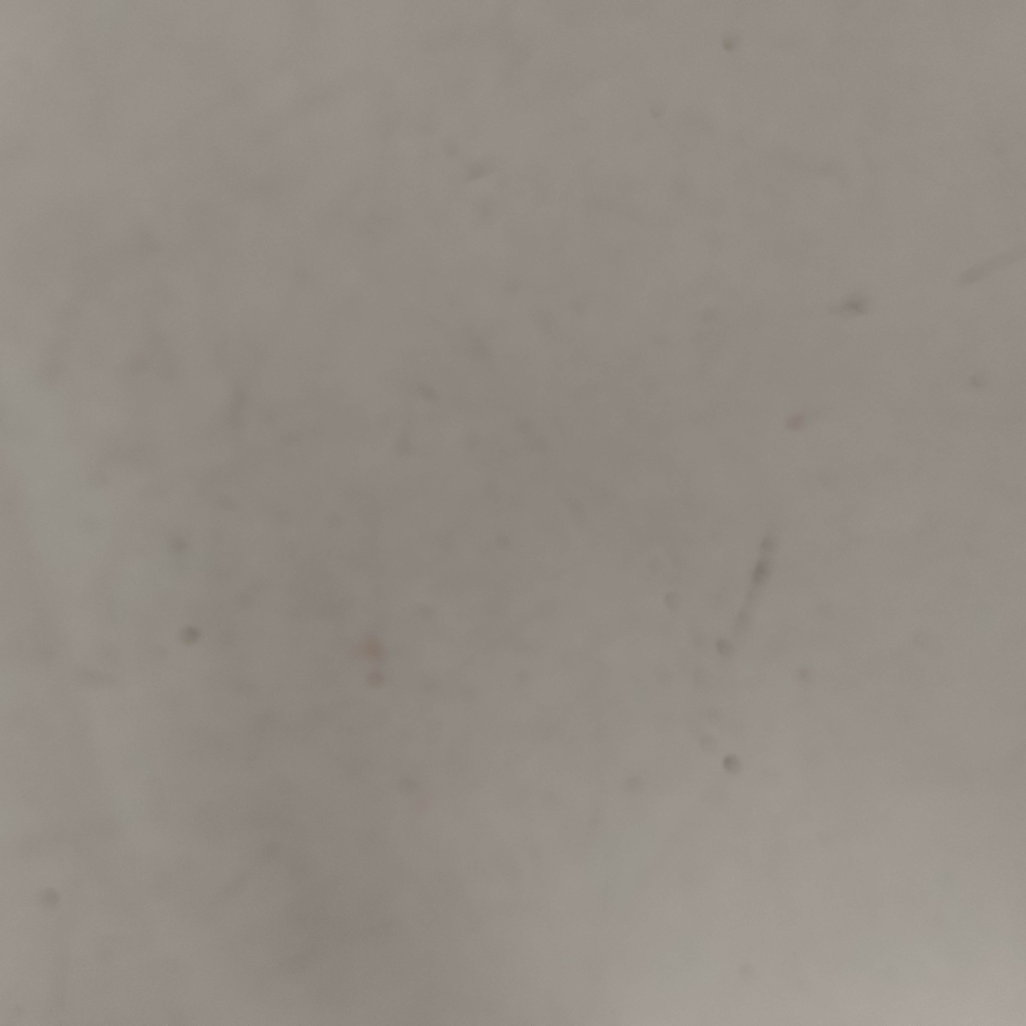 certificate of conformity