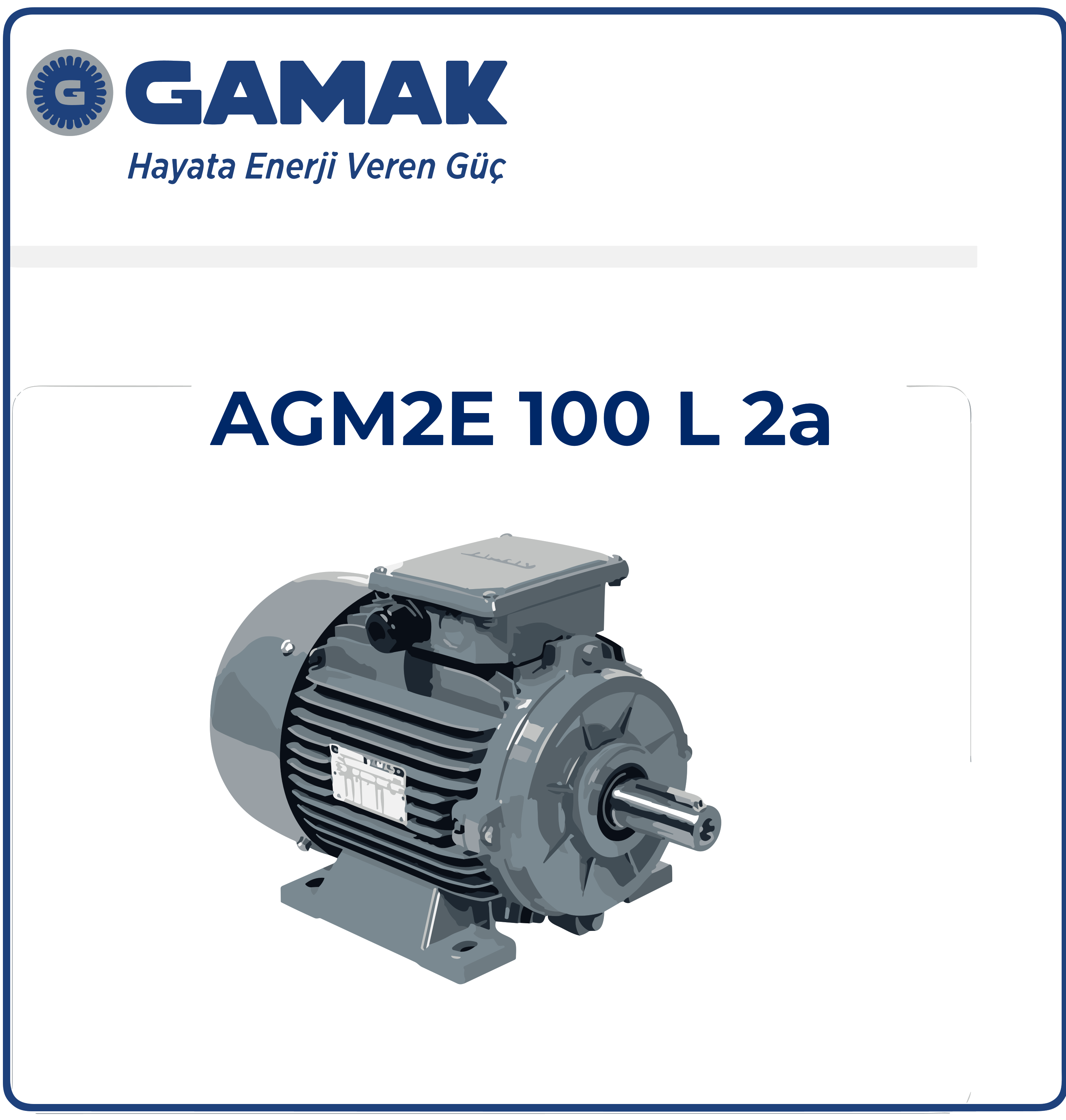 2007 177409 AGM 100 L 2
